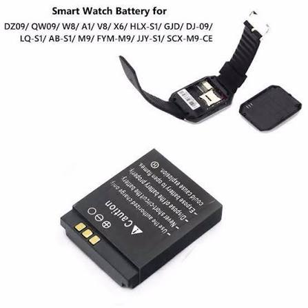 Watch Battery